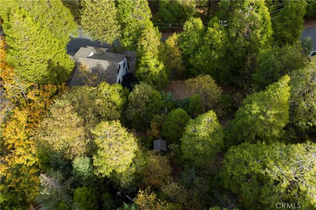 814 Glen View Lane, Twin Peaks, CA 92391