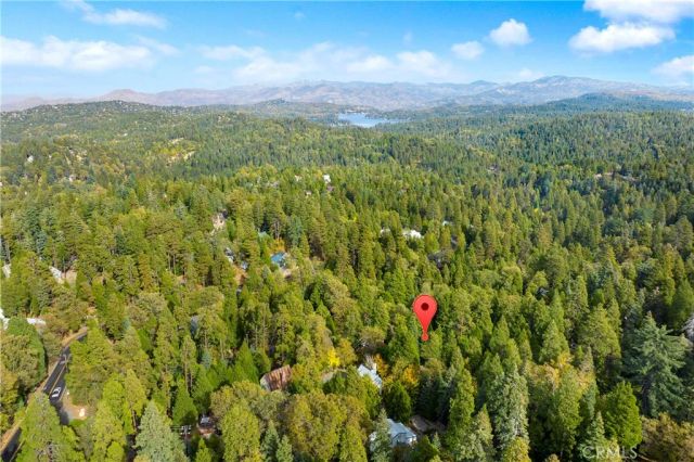 814 Glen View Lane, Twin Peaks, CA 92391