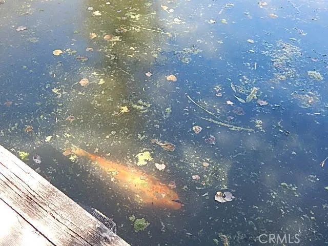 2905 Harden Avenue, Corning, CA 96021