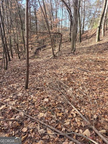 3524 Lake Ridge Drive, Gainesville, GA 30506