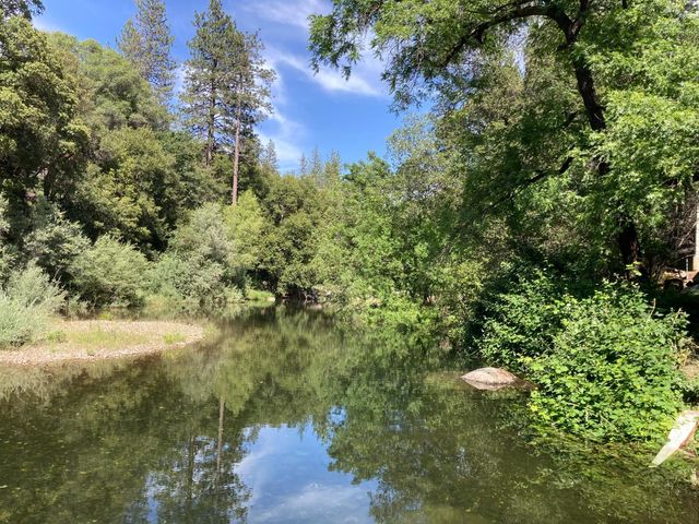 14876 Shenandoah Rd, River Pines, CA 95675