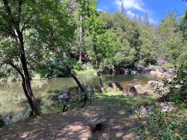 14876 Shenandoah Rd, River Pines, CA 95675