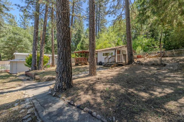14876 Shenandoah Rd, River Pines, CA 95675