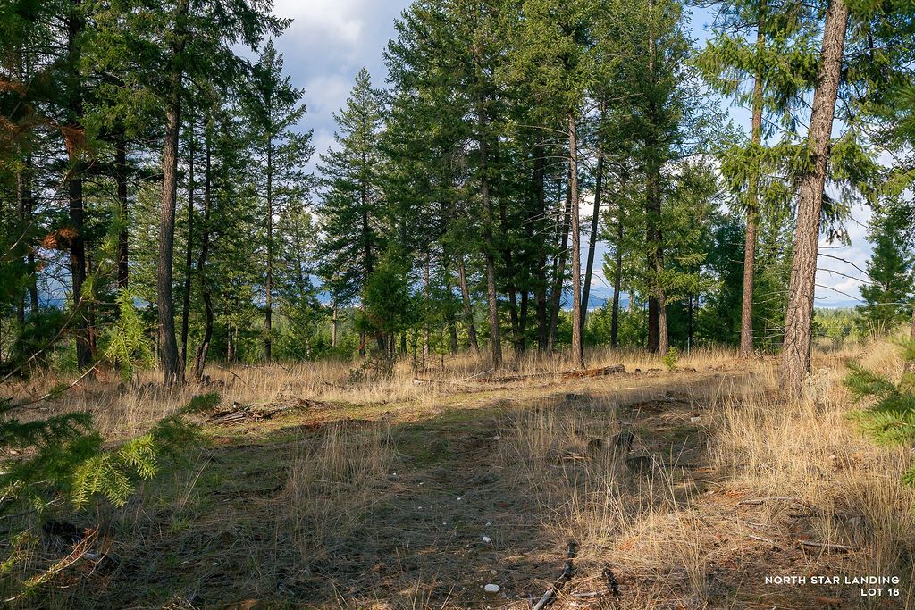 Image 5 of property listing at Lot 18 Lake Heights, Eureka, MT 59917