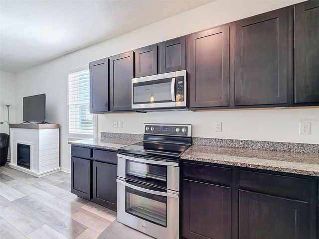 16189 GLOWING GROVE AVE, Odessa, FL 33556