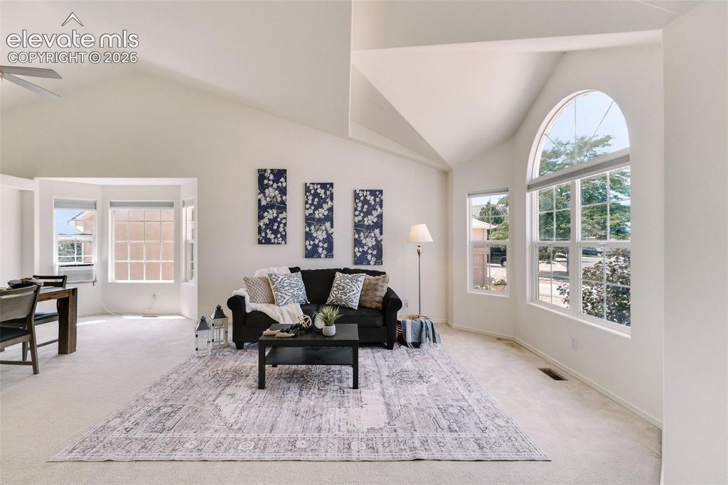 6762 Wild Indigo Drive, Colorado Springs, CO 80923 — photo 4