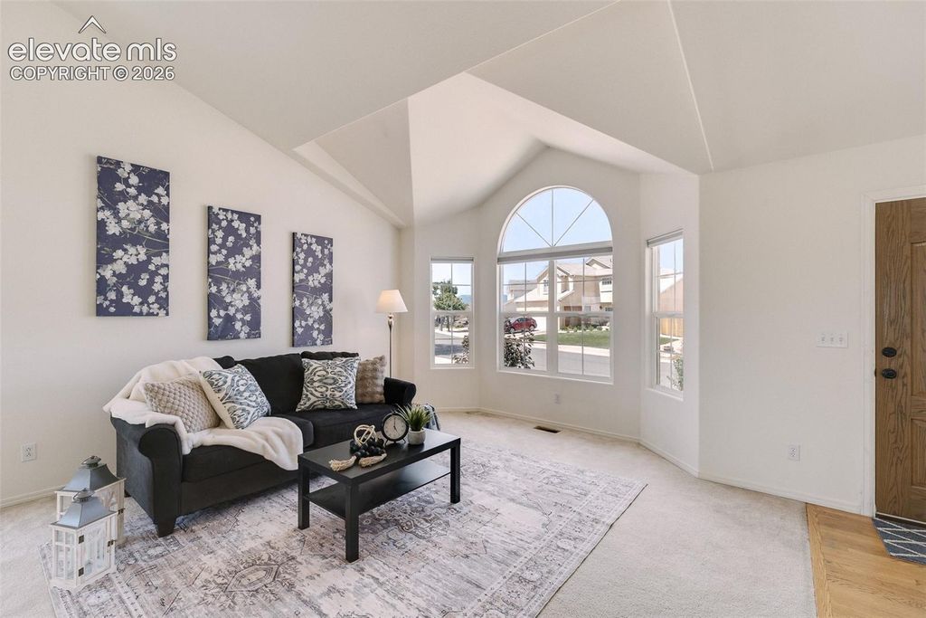 6762 Wild Indigo Drive, Colorado Springs, CO 80923 — photo 5