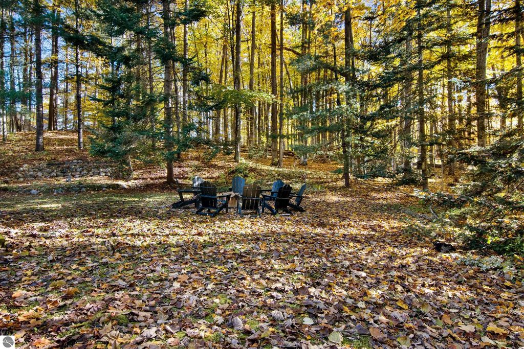 Wooded backyard at 10371 Deerpath North, featuring a firepit area surrounded by autumn leaves and trees, highlighting the serene connection to nature and outdoor living space.