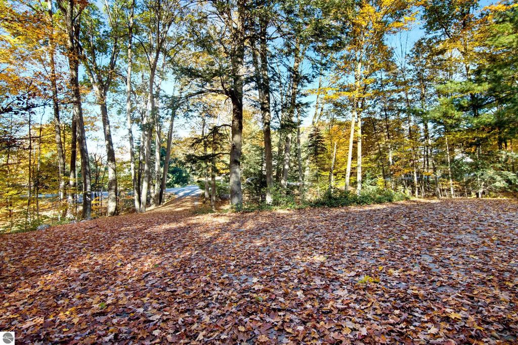 Wooded lot at 10371 Deerpath North in Traverse City, MI, featuring vibrant fall foliage, a carpet of fallen leaves, and a serene landscape leading to a nearby road.
