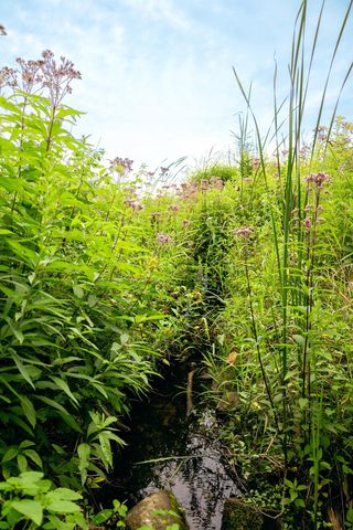 00 E Birch Point Road, Elmwood Twp, MI 49684