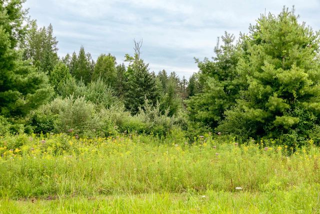 00 E Birch Point Road, Elmwood Twp, MI 49684