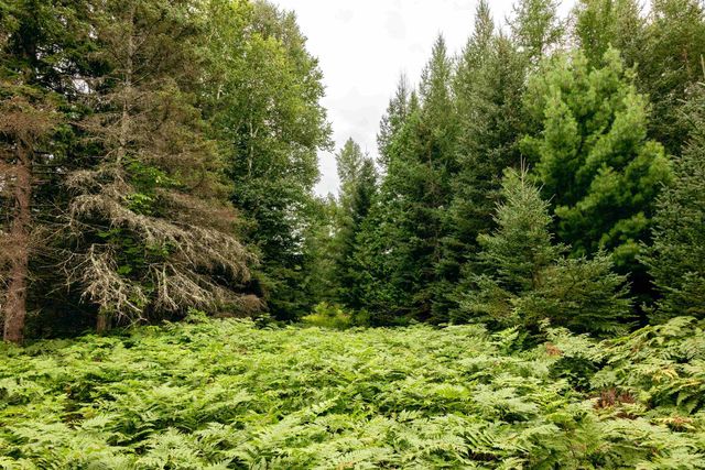 00 E Birch Point Road, Elmwood Twp, MI 49684