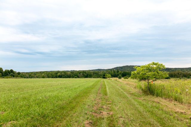 00 E Birch Point Road, Elmwood Twp, MI 49684