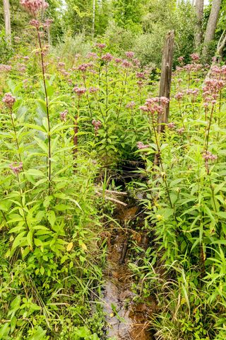 00 E Birch Point Road, Elmwood Twp, MI 49684