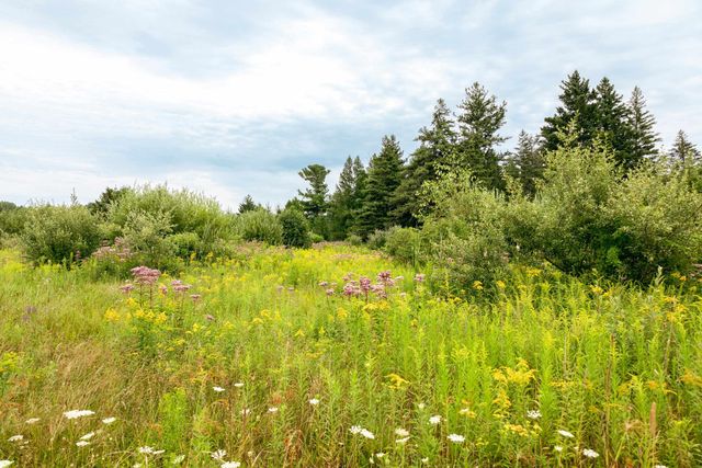 00 E Birch Point Road, Elmwood Twp, MI 49684