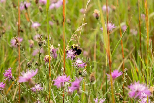 00 E Birch Point Road, Elmwood Twp, MI 49684