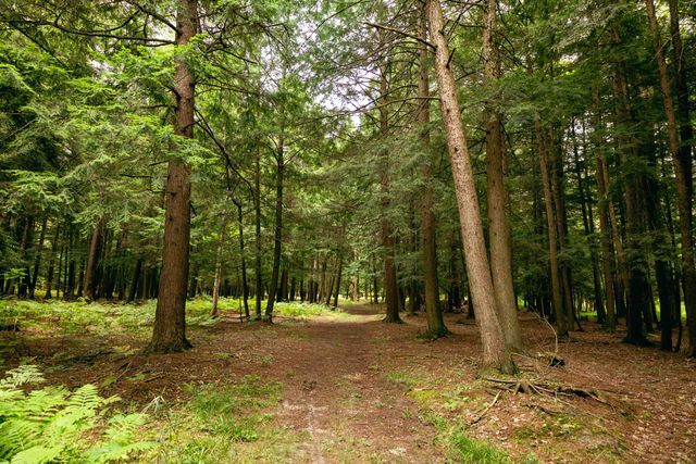 00 E Birch Point Road, Elmwood Twp, MI 49684