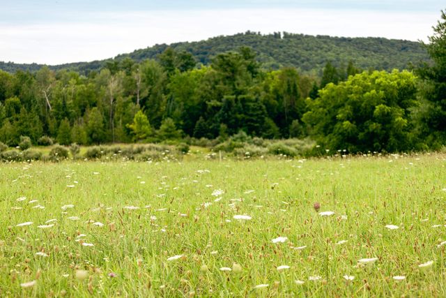 00 E Birch Point Road, Elmwood Twp, MI 49684