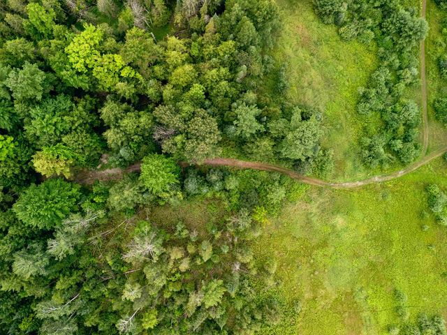 00 E Birch Point Road, Elmwood Twp, MI 49684