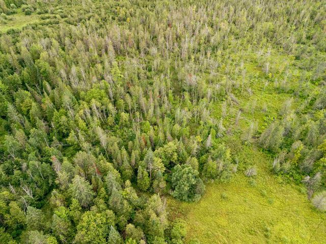 00 E Birch Point Road, Elmwood Twp, MI 49684