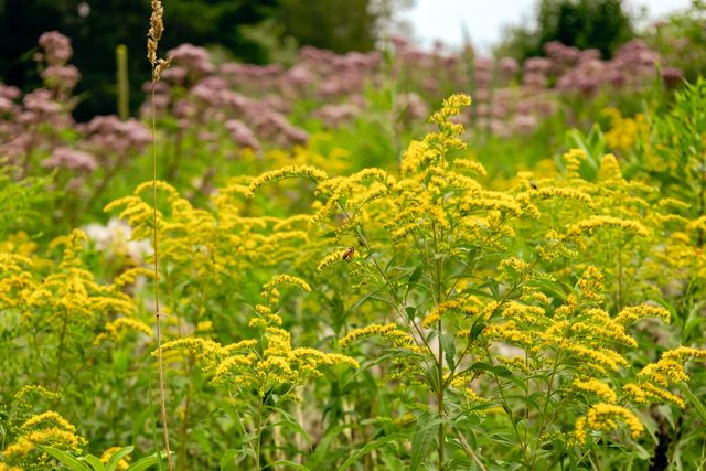 00 E Birch Point Road, Elmwood Twp, MI 49684