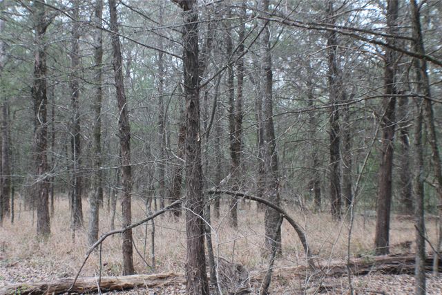 9603 County Road 2404, Kemp, TX 75143