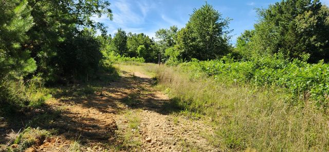 0 Aaron Lane, Nunnelly, TN 37137