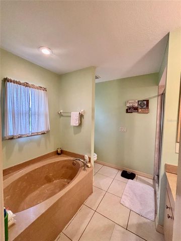 23296 GOLDCOAST AVENUE, Punta Gorda, FL 33980