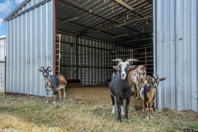 871 VZ County Road 2520, Canton, TX 75103