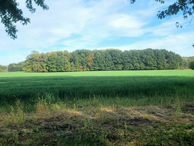 8273 Van Vleet Road, Gaines Twp, MI 48436