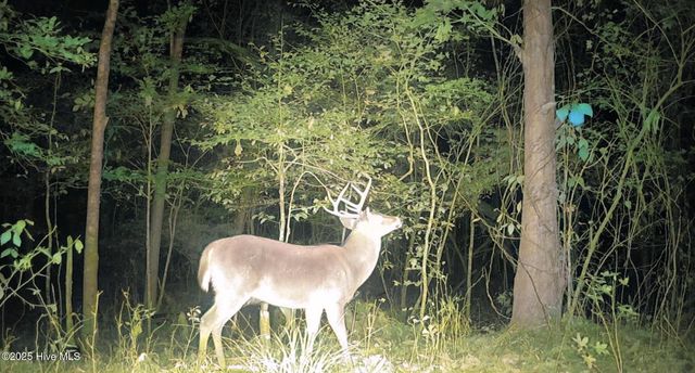 1049 Shirley Drive, Jacksonville, NC 28540