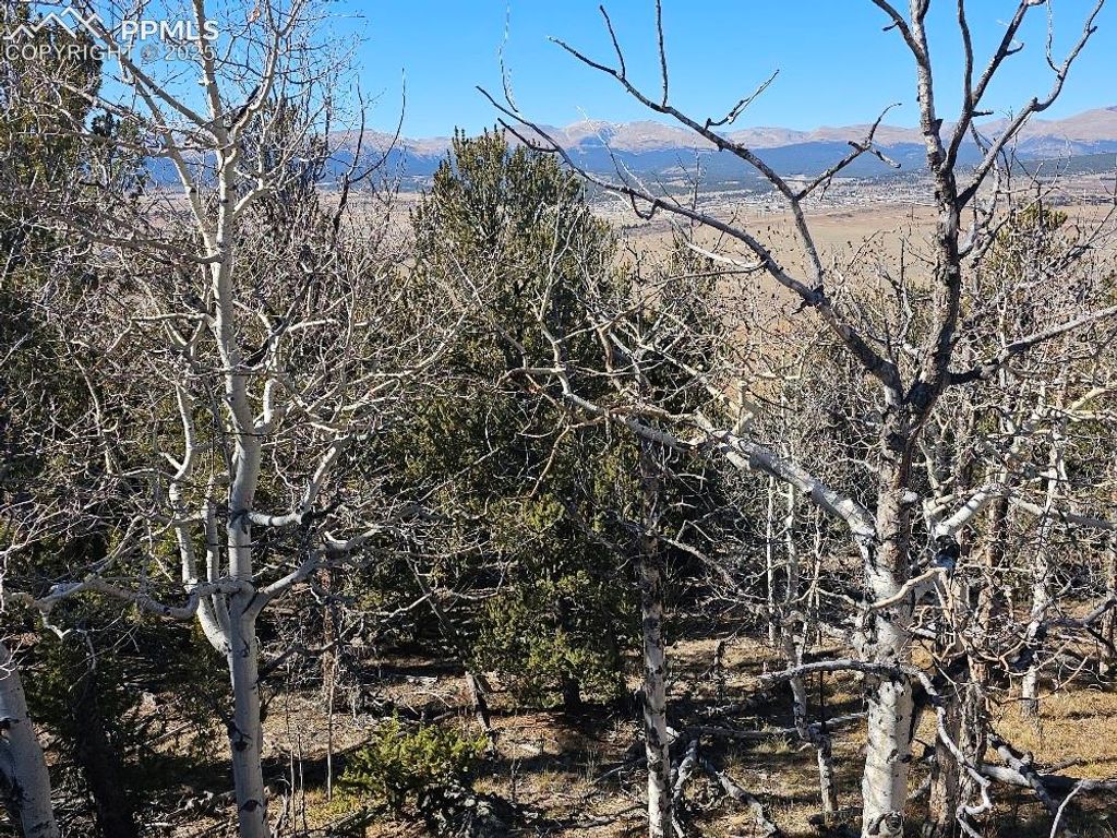 5585 Middle Fork Vista, Fairplay, CO 80440 — exterior