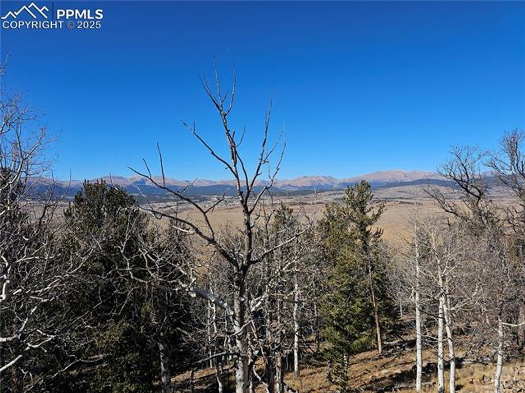 5585 Middle Fork Vista, Fairplay, CO 80440 — photo 2