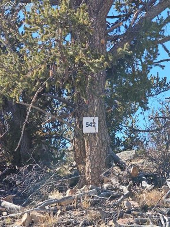 5585 Middle Fork Vista, Fairplay, CO 80440 — photo 3