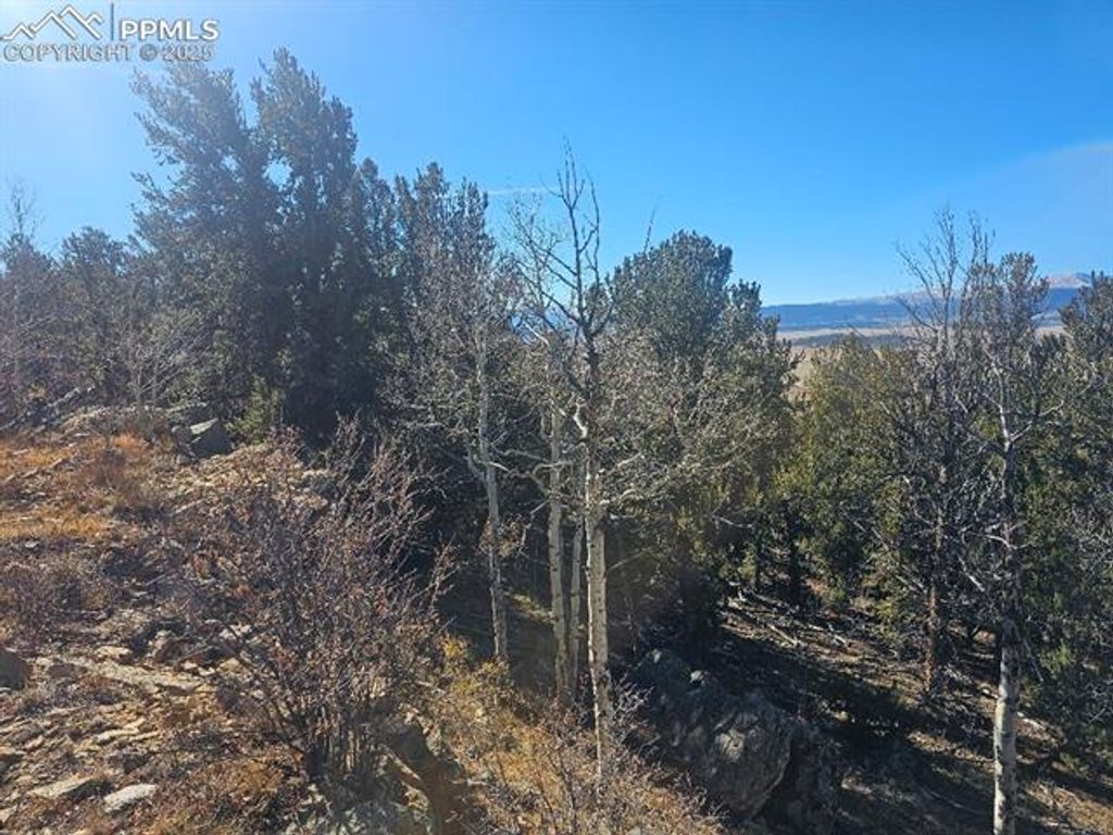 5585 Middle Fork Vista, Fairplay, CO 80440 — photo 4