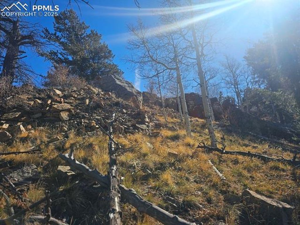 5585 Middle Fork Vista, Fairplay, CO 80440 — photo 5