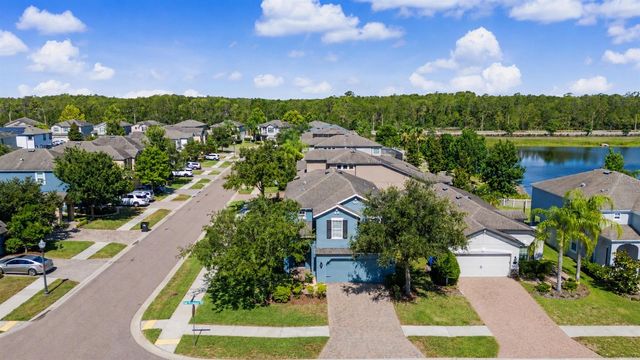 1735 OAK HAMMOCK COURT, Lutz, FL 33558