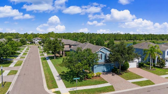 1735 OAK HAMMOCK COURT, Lutz, FL 33558