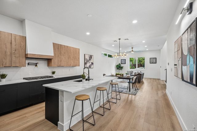 115 Spruce, San Antonio, TX 78203