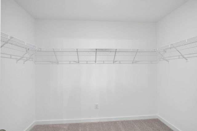 600 Sun Bear Lane, Mount Pleasant, TN 38474