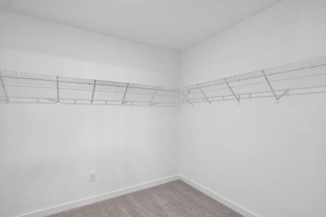 600 Sun Bear Lane, Mount Pleasant, TN 38474