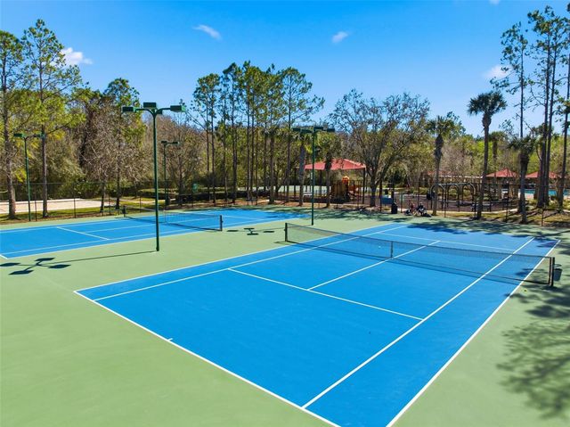 31520 HOLCOMB PASS, Wesley Chapel, FL 33543