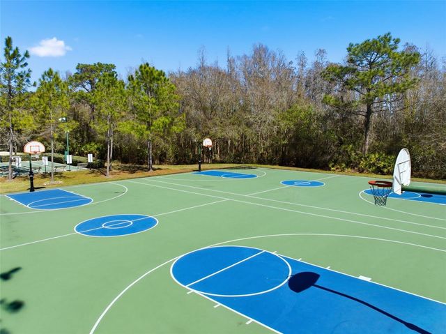 31520 HOLCOMB PASS, Wesley Chapel, FL 33543