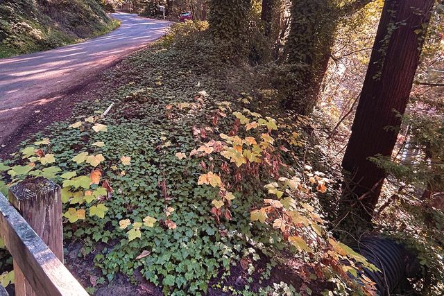 00 Riverside Road, Brookdale, CA 95007