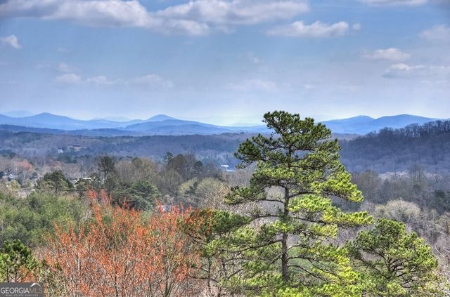 222 Mountain Hideaway Lane, Blue Ridge, GA 30513