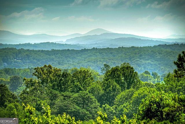 222 Mountain Hideaway Lane, Blue Ridge, GA 30513