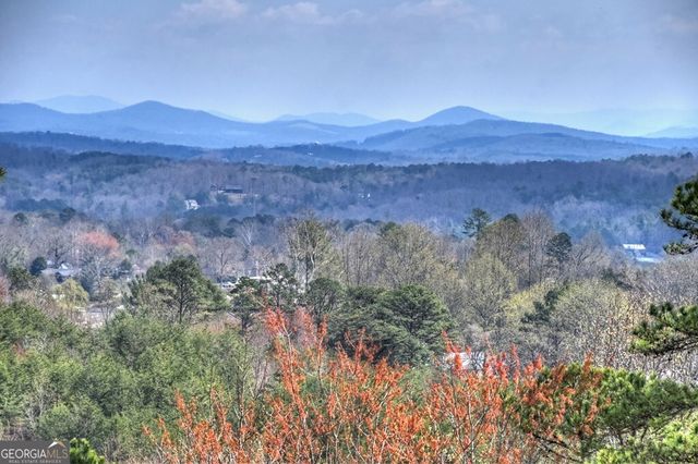 222 Mountain Hideaway Lane, Blue Ridge, GA 30513