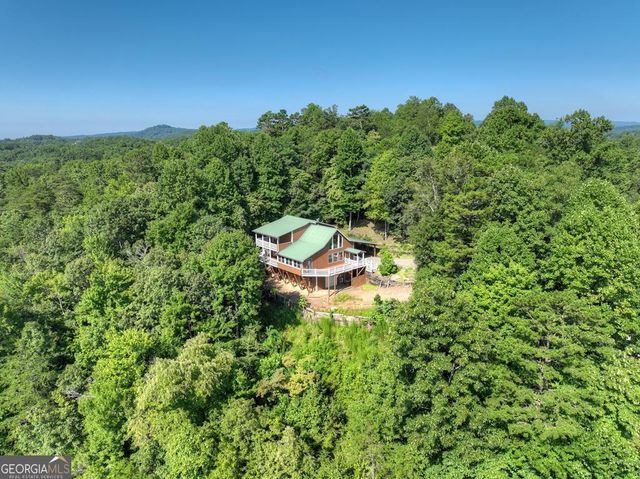 222 Mountain Hideaway Lane, Blue Ridge, GA 30513