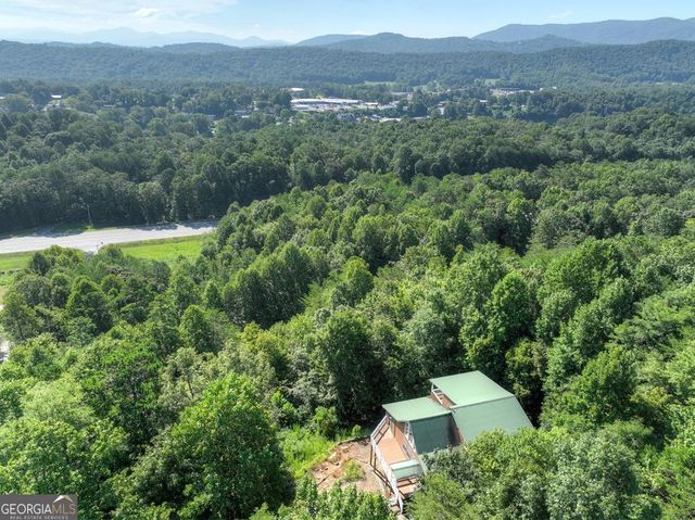 222 Mountain Hideaway Lane, Blue Ridge, GA 30513