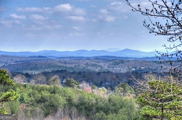 222 Mountain Hideaway Lane, Blue Ridge, GA 30513